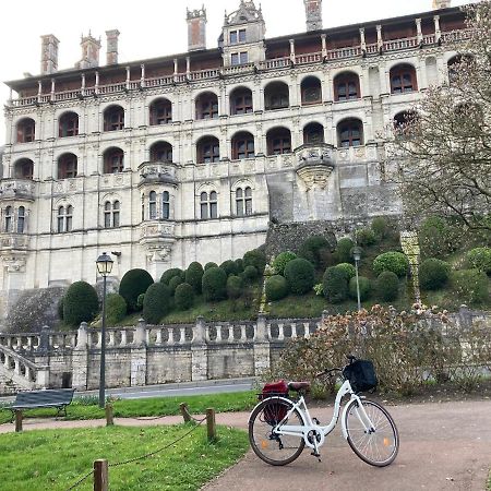 Gite Blois Chatel Bagian luar foto