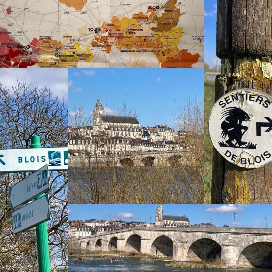 Gite Blois Chatel Bagian luar foto