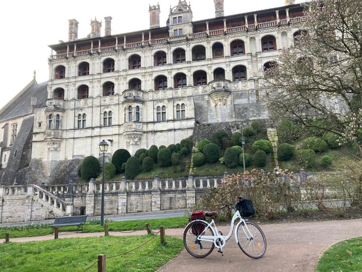 Gite Blois Chatel Bagian luar foto