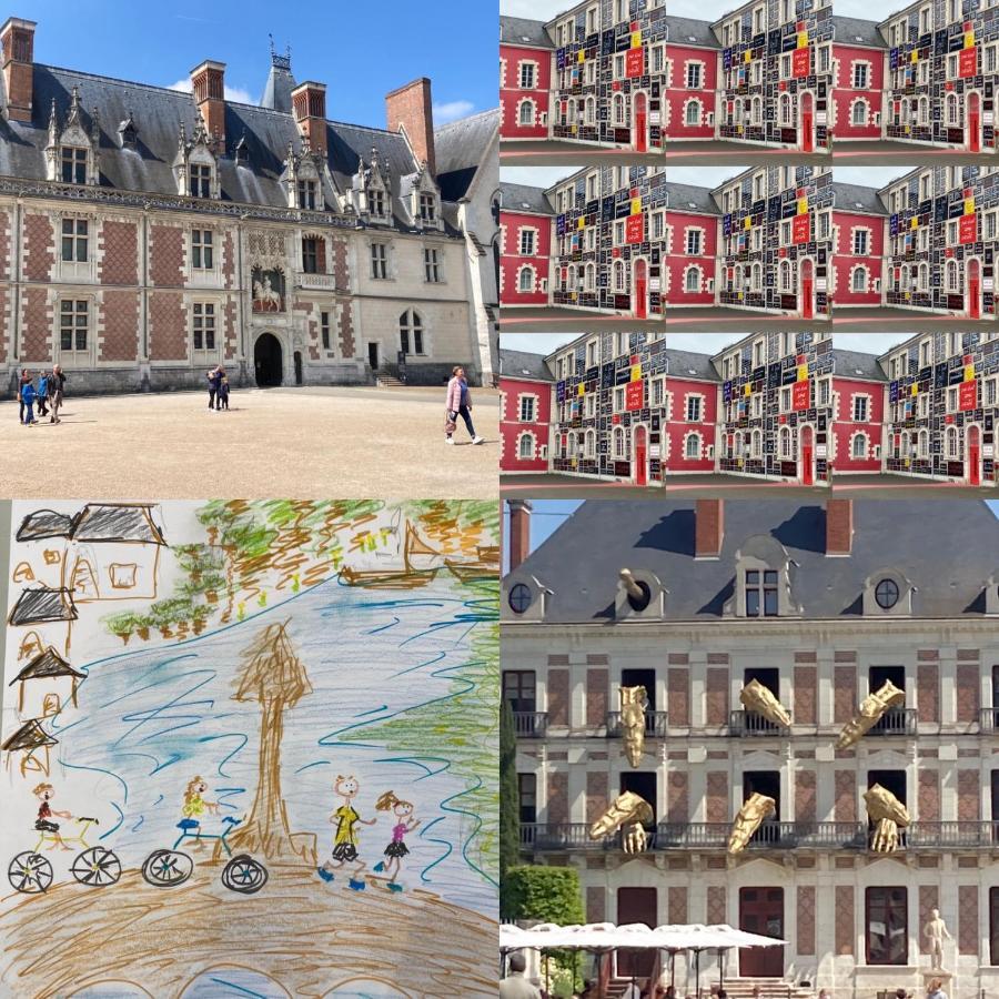Gite Blois Chatel Bagian luar foto